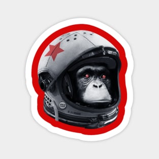 Astro Chimp Sticker